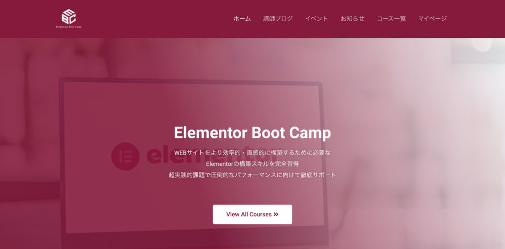 Elementor Boot Camp